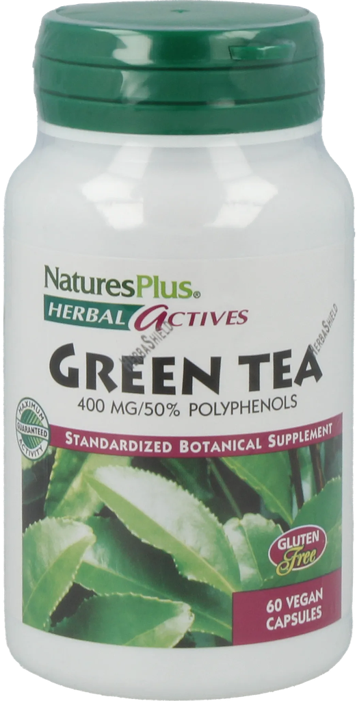 Chinese Green Tea 400 mg - 60 capsules