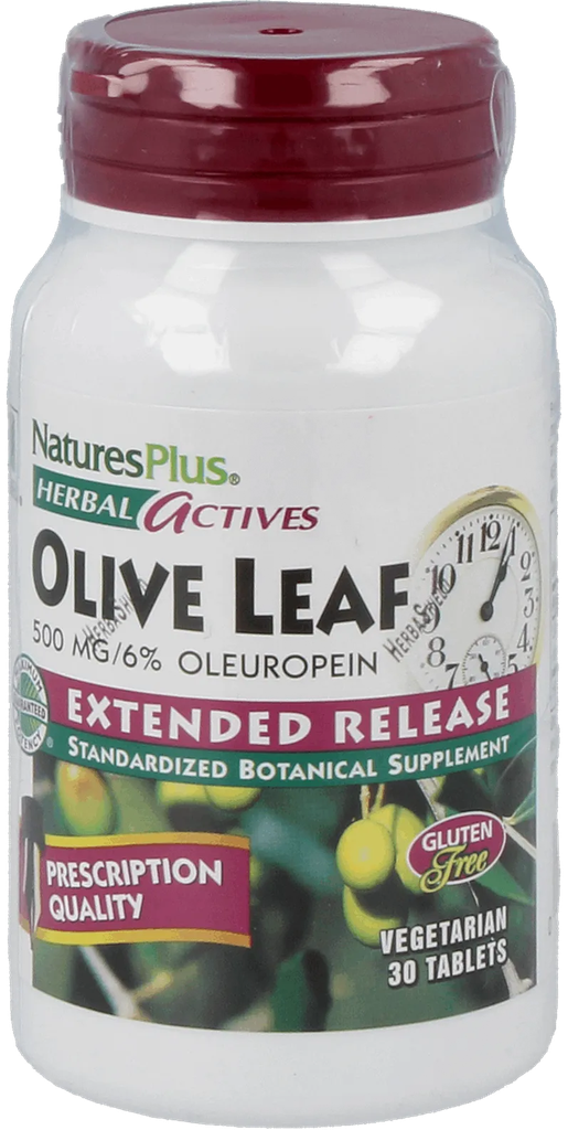 Olive Leaf 500 mg - 30 Tablets