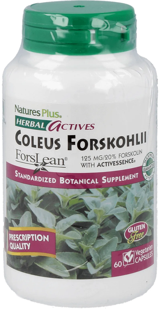 Coleus Forskohlii 125 mg - 60 Capsules