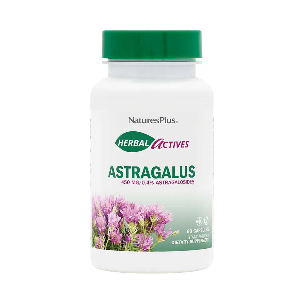 Astragalus 450 mg - 60 Capsules