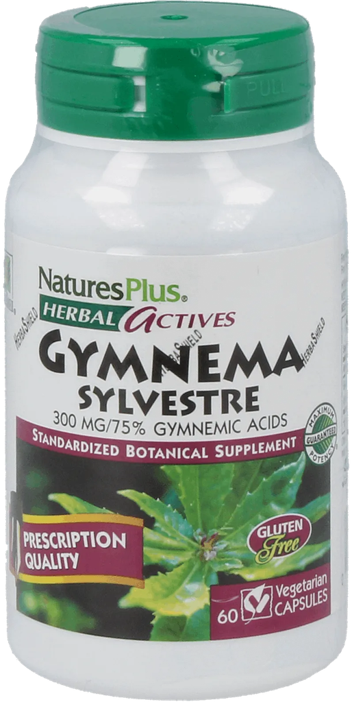 Gymnema Sylvestre 300 mg - 60 Capsules